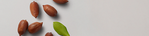 PRODUCT DETAIL INGREDIENTS - DESKTOP - 1440 X 348-Jojoba Beads